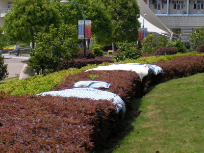 浙江海洋学院